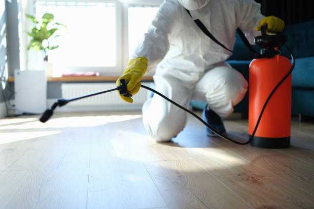 Reliable Odor Removal contractor in Pequannock, NJ by Trauma Clean Pros